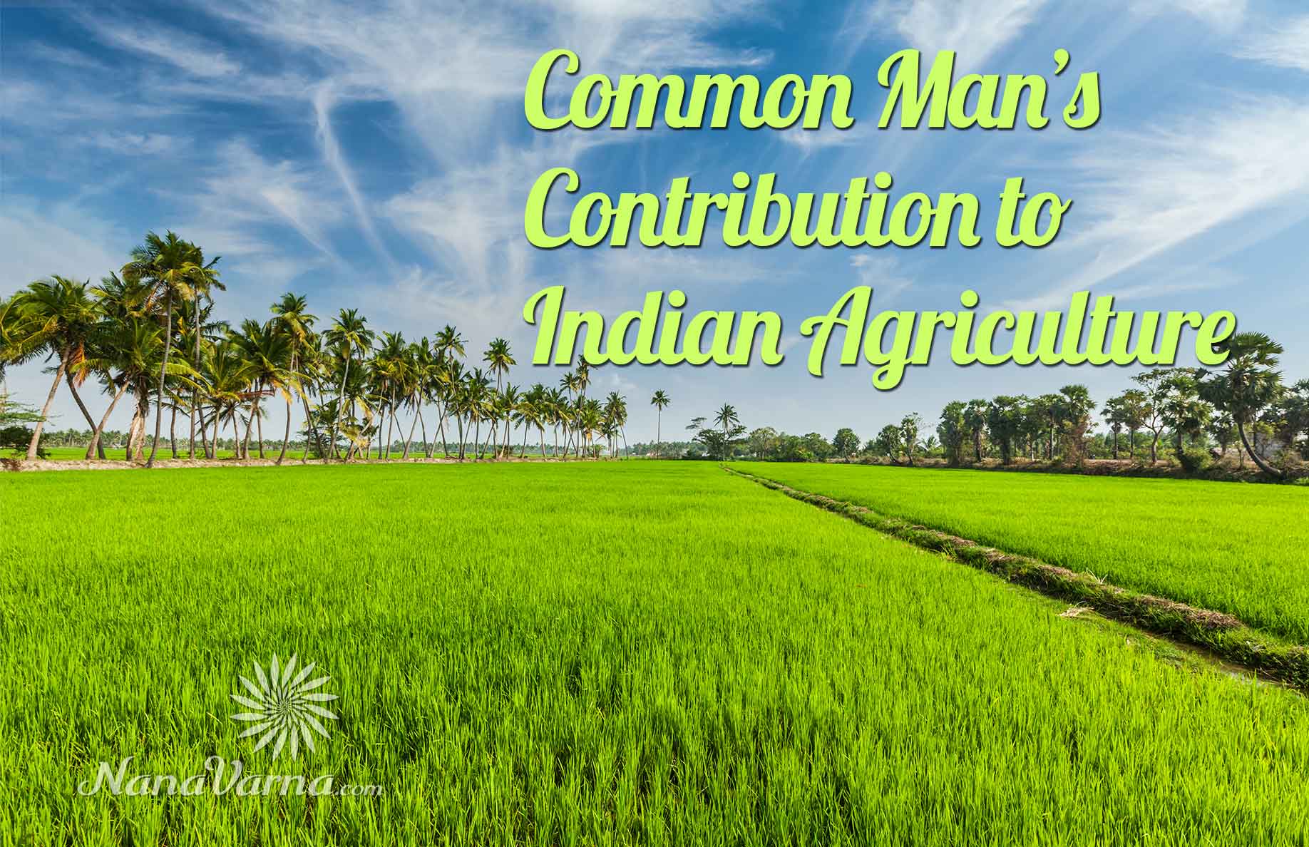 10 Ways How can we contribute to Improve Indian Agriculture